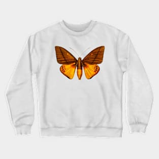 Yagra Fonscolombe Crewneck Sweatshirt